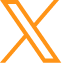 公式x