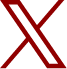 公式X